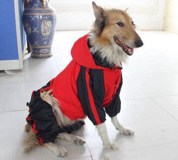 Wasserdichter Regenjacke für den Hund 1 wisheum.ch Rot XL 