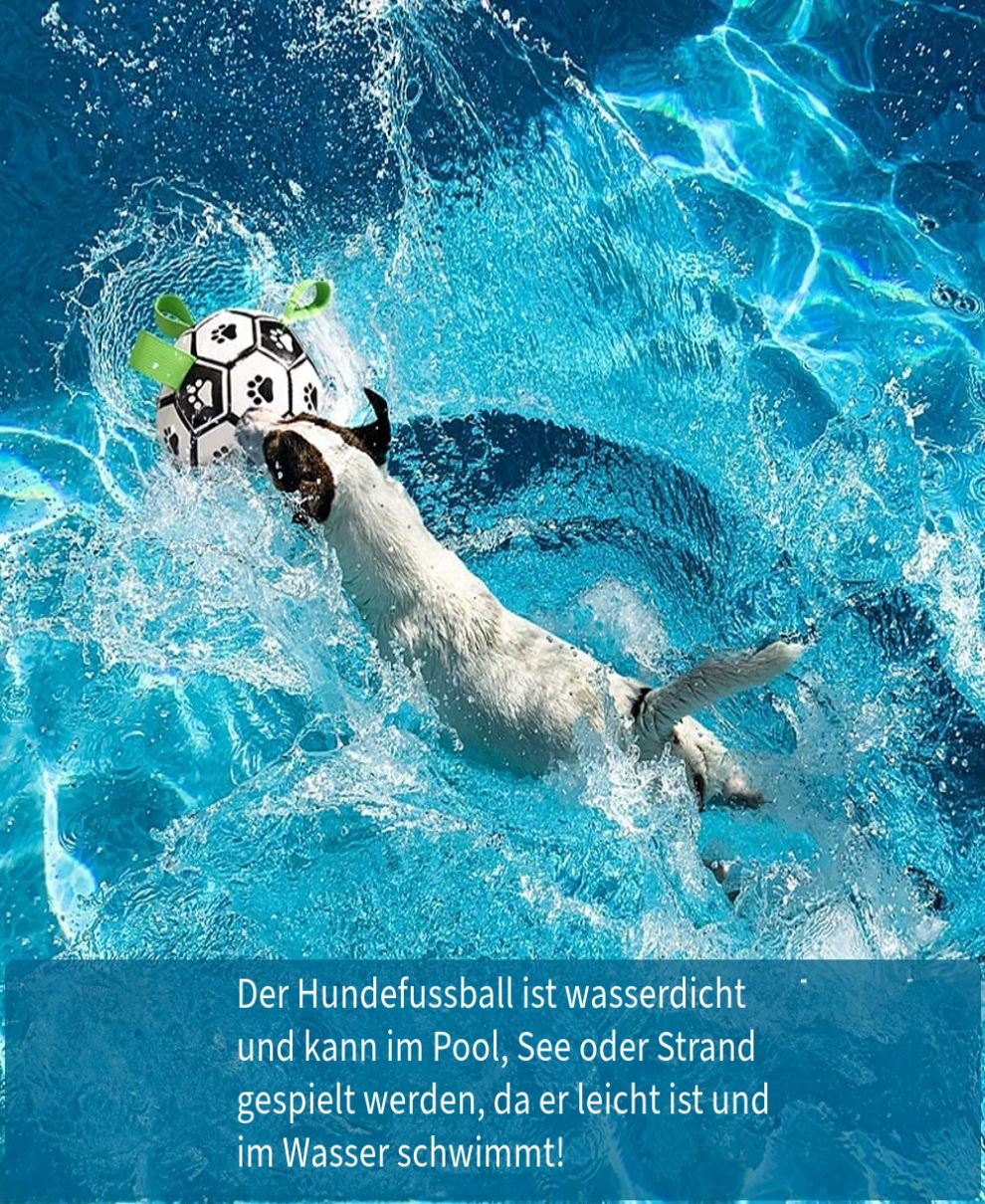 Hundespielzeug Interaktives Fußball, Trainingsball mit Pumpe für kleine Hunde und mittelgroße Rassen 1 wisheum.ch 