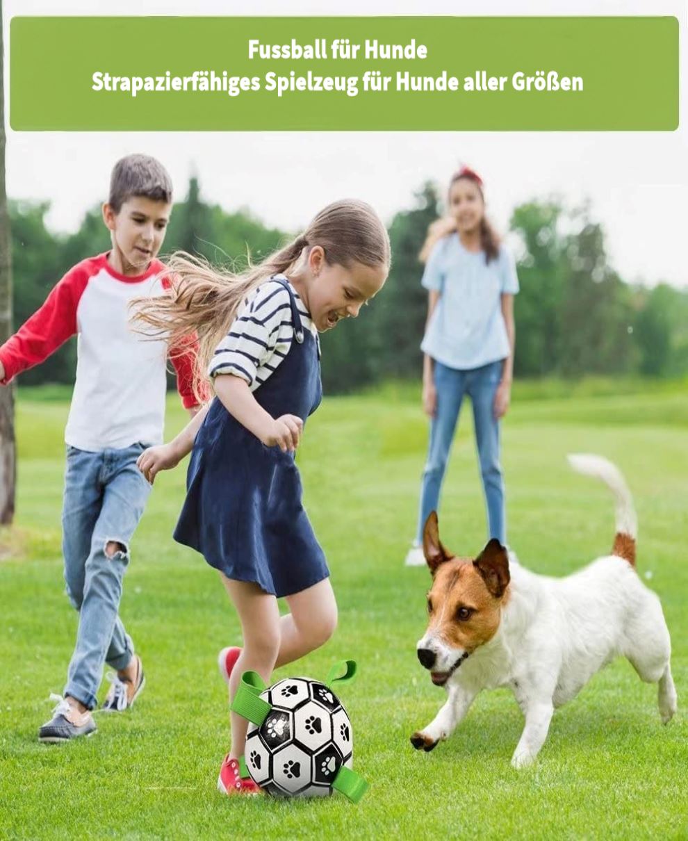 Hundespielzeug Interaktives Fußball, Trainingsball mit Pumpe für kleine Hunde und mittelgroße Rassen 1 wisheum.ch 