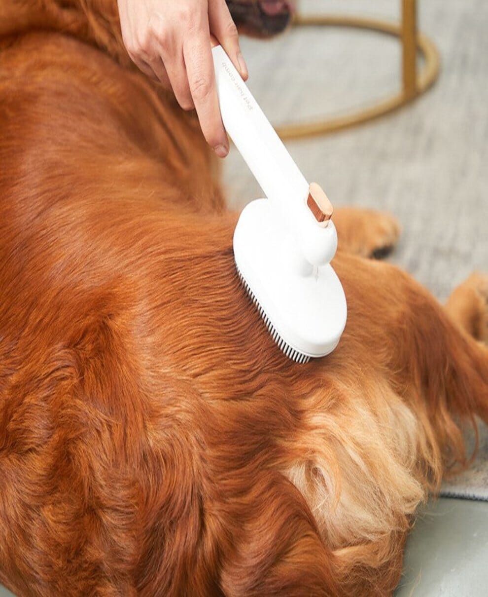 Hunde- und Katzenbürste zur Haarentfernung per Knopfdruck 1 wisheum.ch 