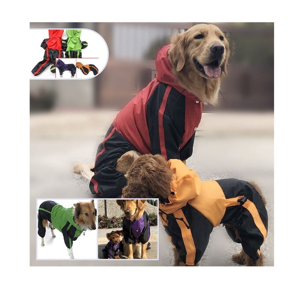 Wasserdichter Regenjacke für den Hund