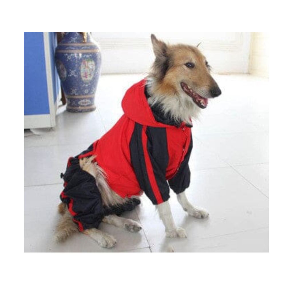 Wasserdichter Regenjacke für den Hund