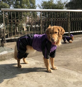 Wasserdichter Regenjacke für den Hund 1 wisheum.ch Purple XL 