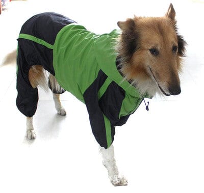 Wasserdichter Regenjacke für den Hund 1 wisheum.ch 