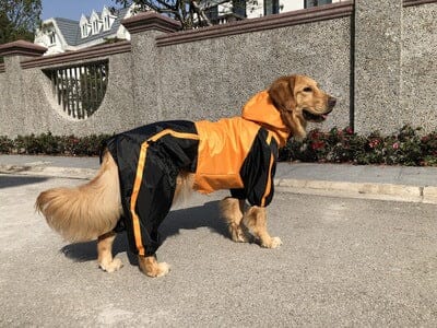 Wasserdichter Regenjacke für den Hund 1 wisheum.ch Orange XL 