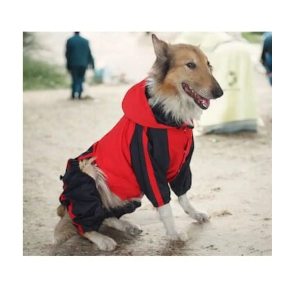 Wisheum.ch 1 Rot / XL Wasserdichte Regenjacke für den Hund