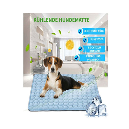 Hundekühlmatte – die perfekte Abkühlung an heissen Tagen!🌞