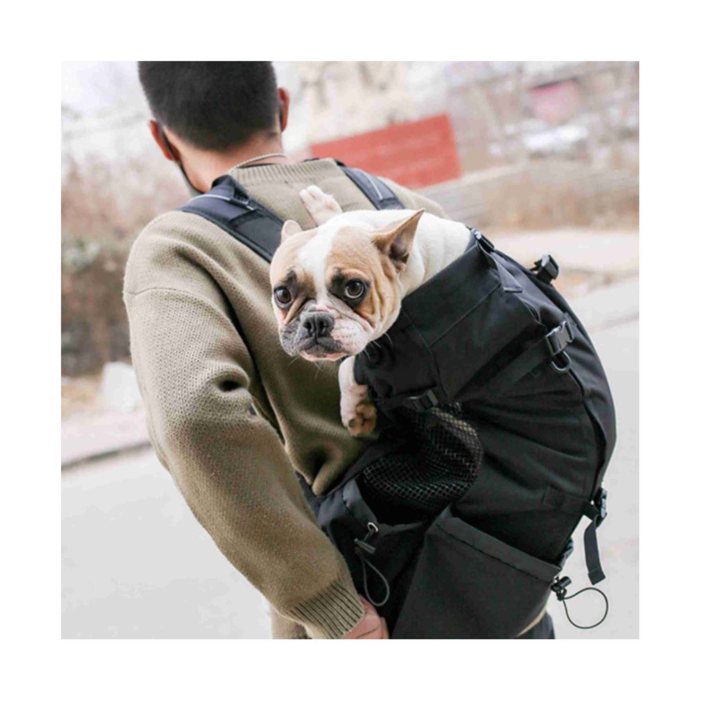 Hundetrage-Rucksack für Outdoor Reisen