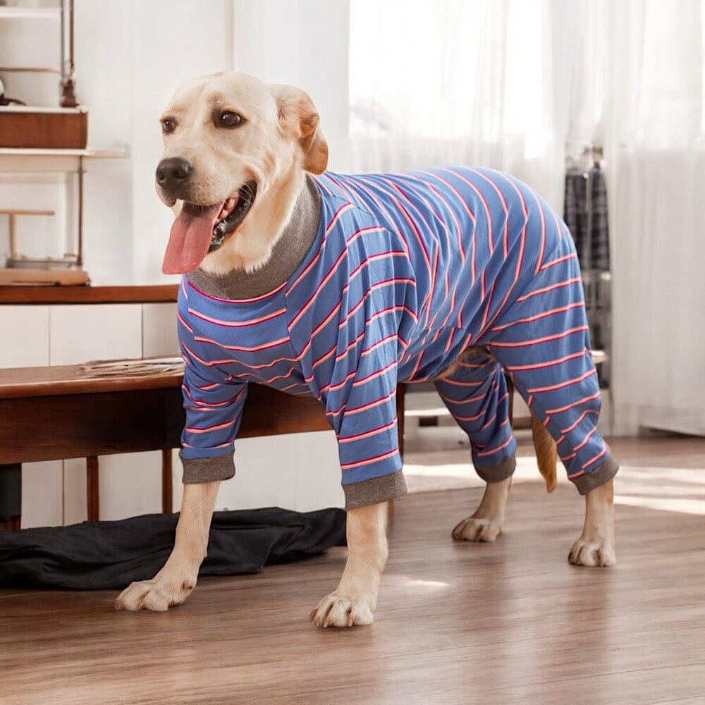 Leichter Baumwoll-Pyjama für Hunde – Stilvoll, bequem und praktisch 1 wisheum.ch Blauen Streifen 3XL 