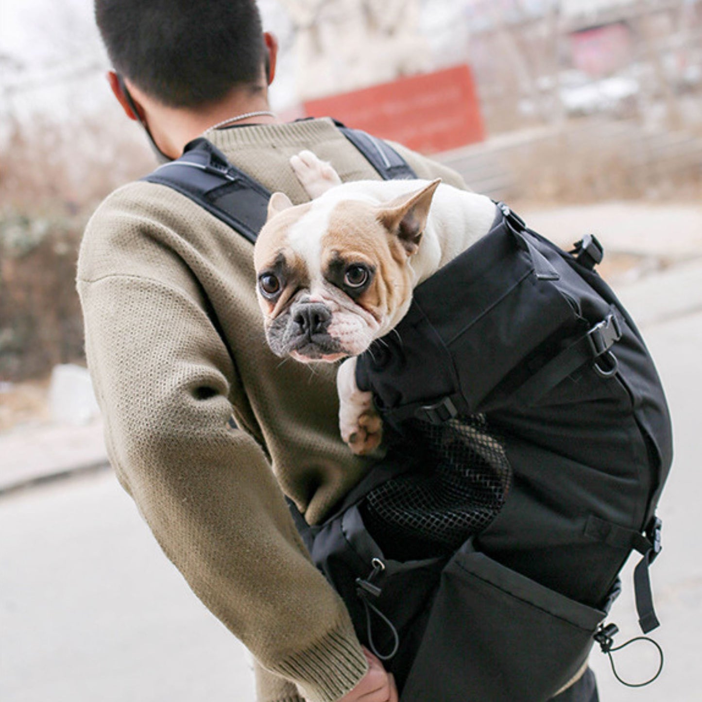 Hundetrage-Rucksack für Outdoor Reisen 1 wisheum.ch Schwarz L 