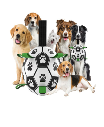 Hundespielzeug Interaktives Fußball, Trainingsball mit Pumpe für kleine Hunde und mittelgroße Rassen 1 wisheum.ch 