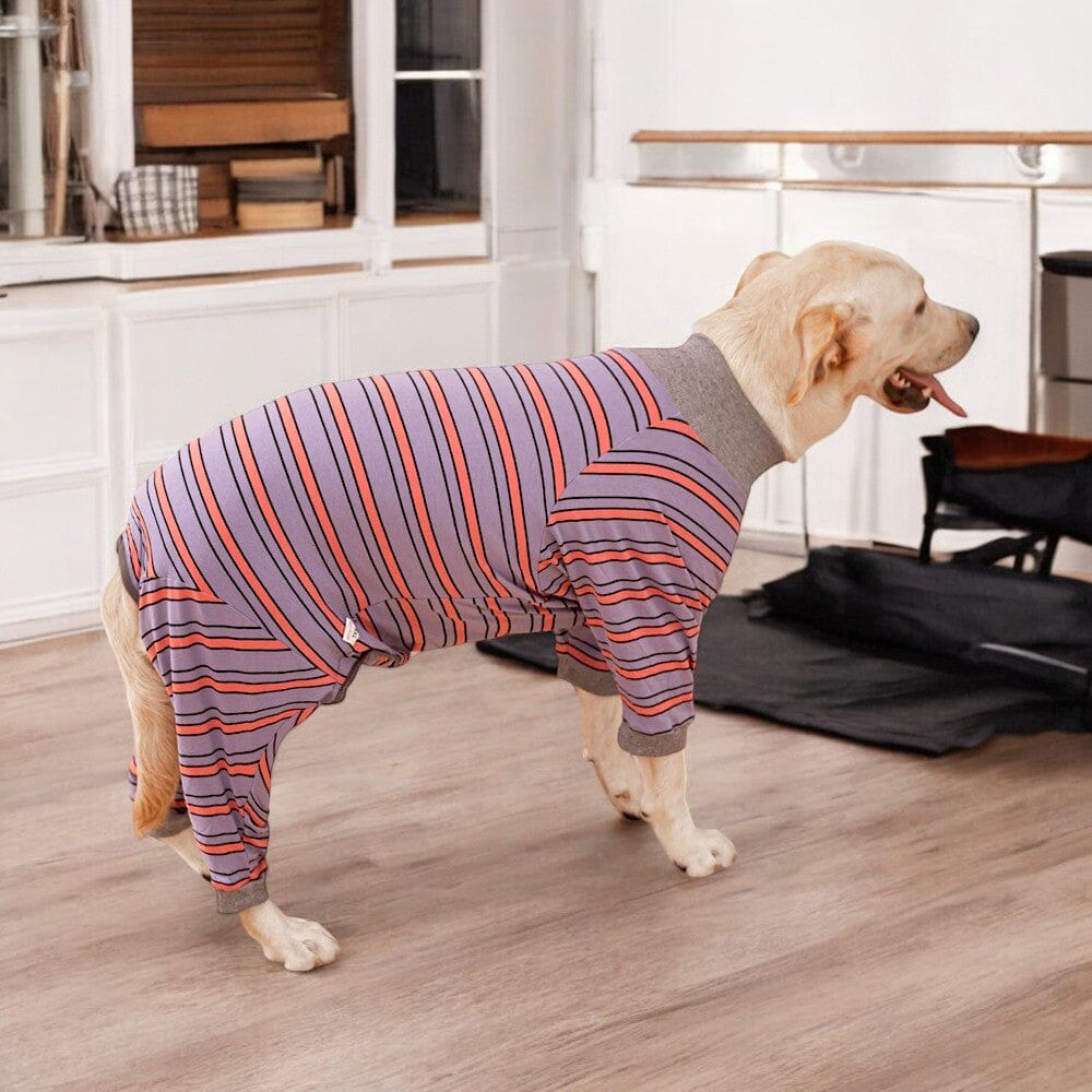 Leichter Baumwoll-Pyjama für Hunde – Stilvoll, bequem und praktisch 1 wisheum.ch Violet Streifen 3XL 