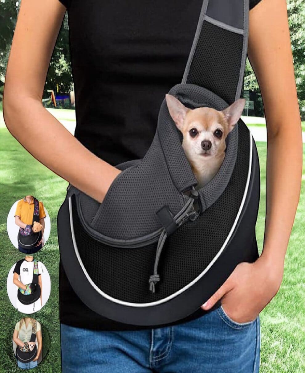 Tragtasche für kleine Hunde und Katzen 1 wisheum.ch 