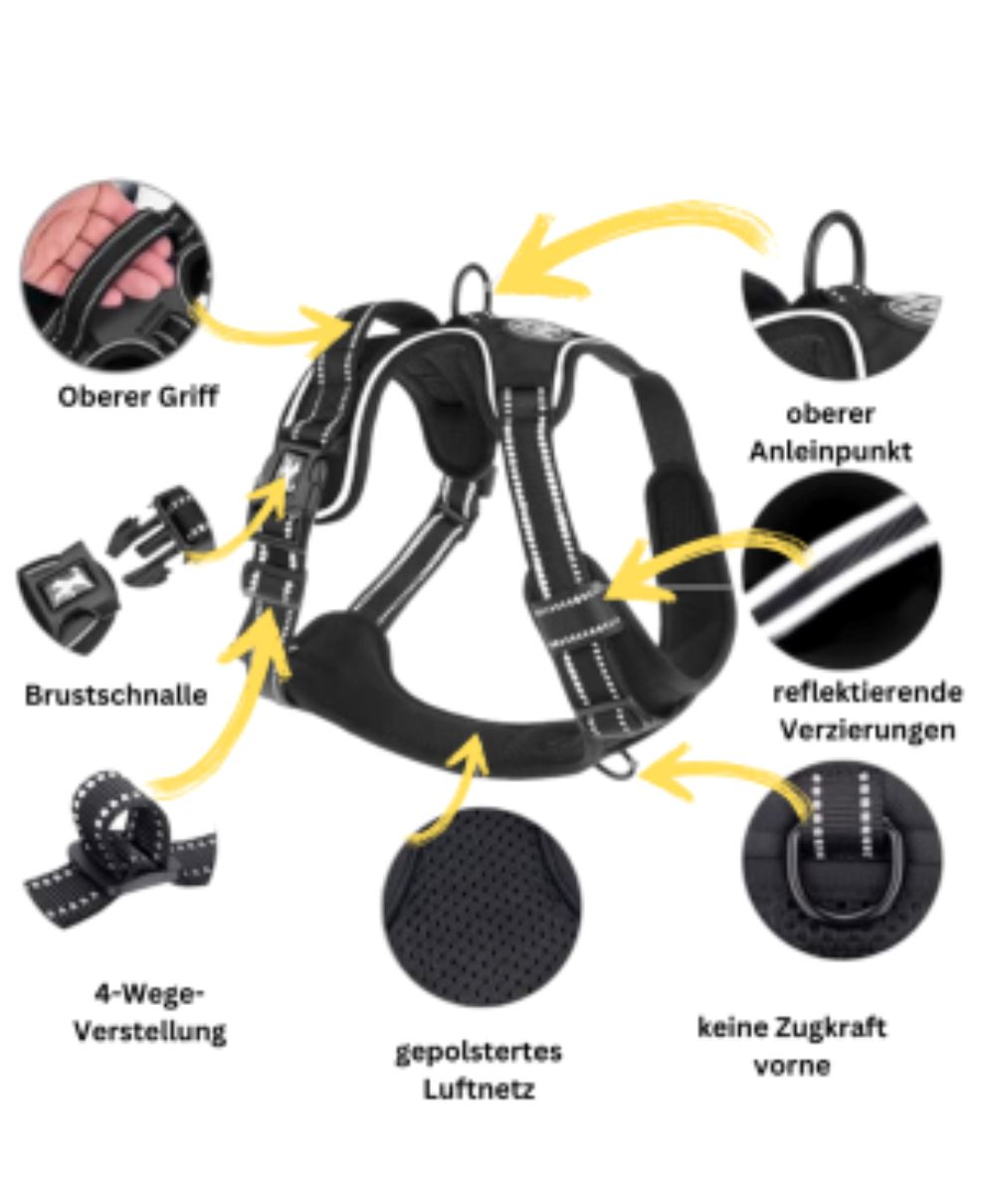 Hundegeschirr für alle Fälle: Verstellbar und robust 1 wisheum.ch 